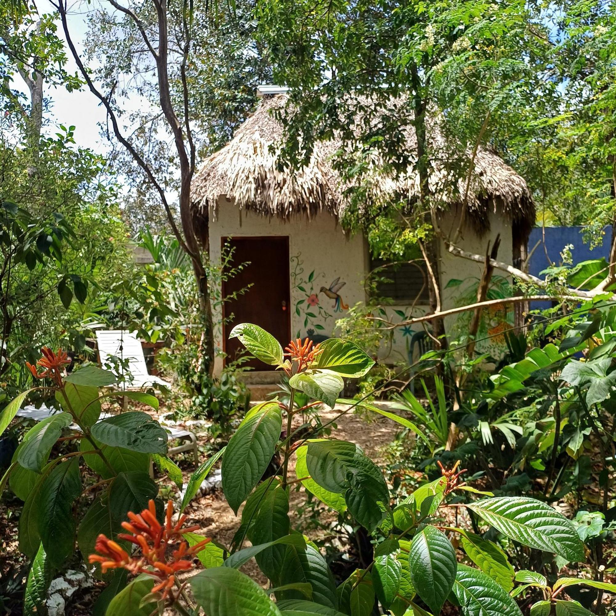 Mayan Bungalow Near Chichen Eksteriør billede