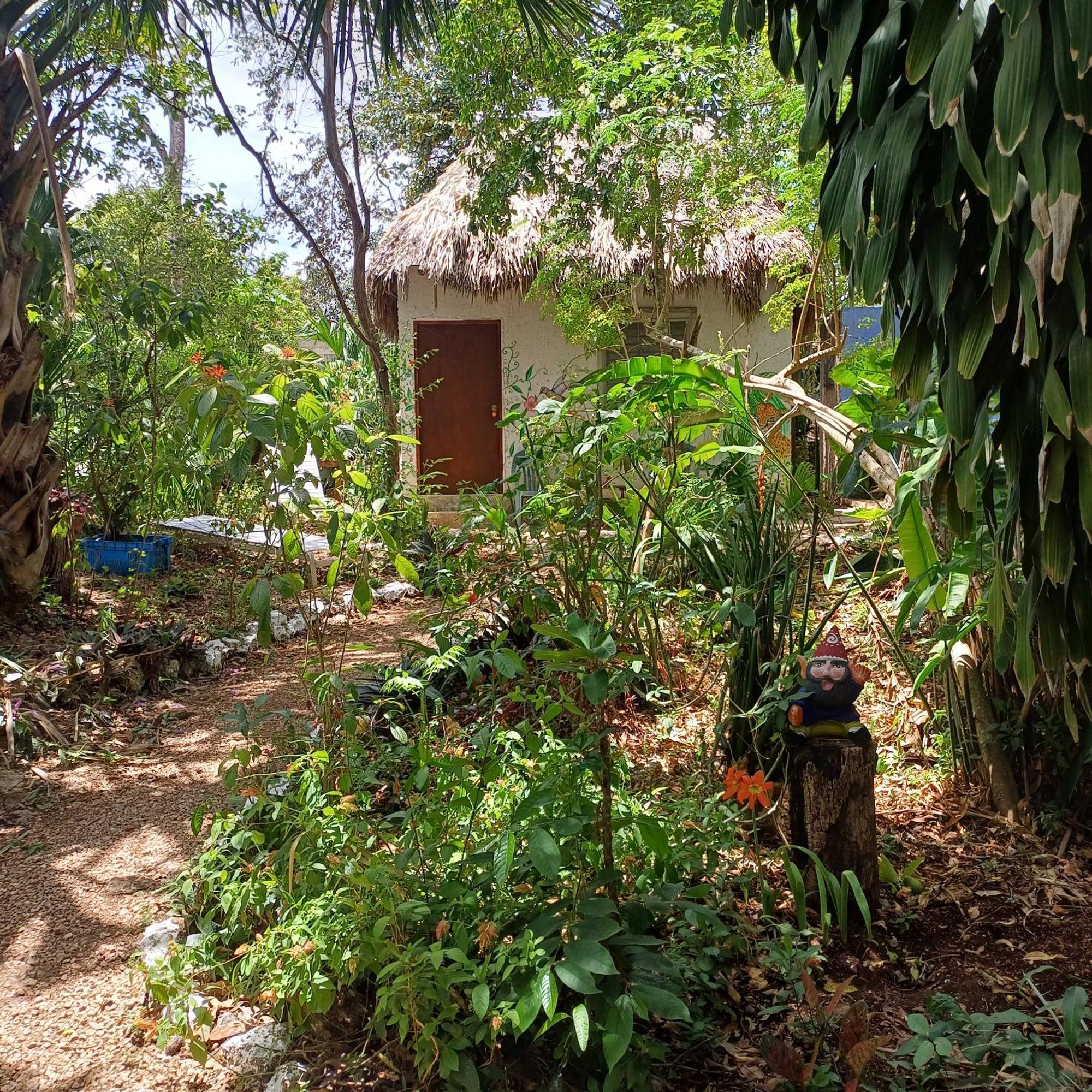 Mayan Bungalow Near Chichen Eksteriør billede