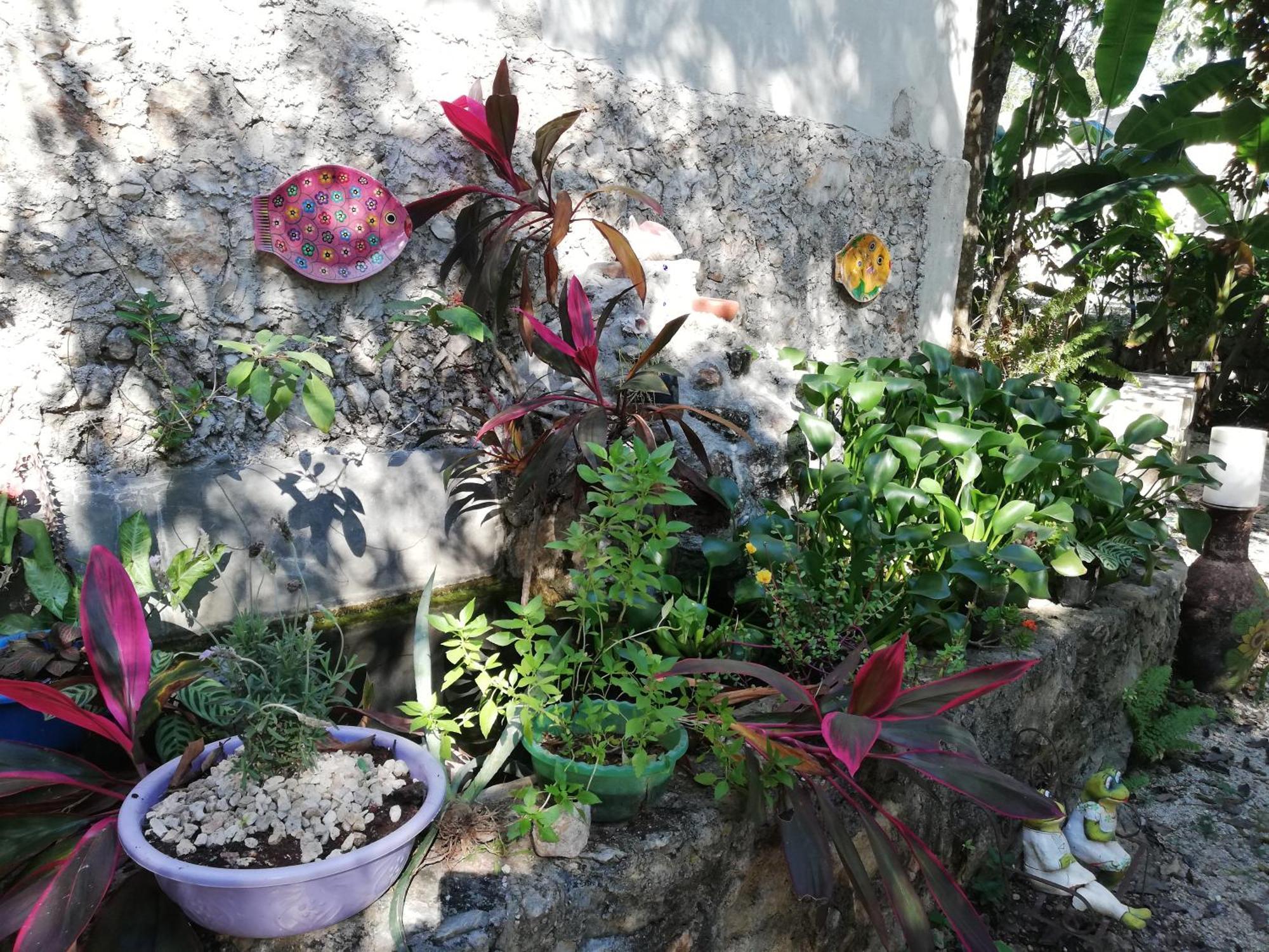 Mayan Bungalow Near Chichen Eksteriør billede
